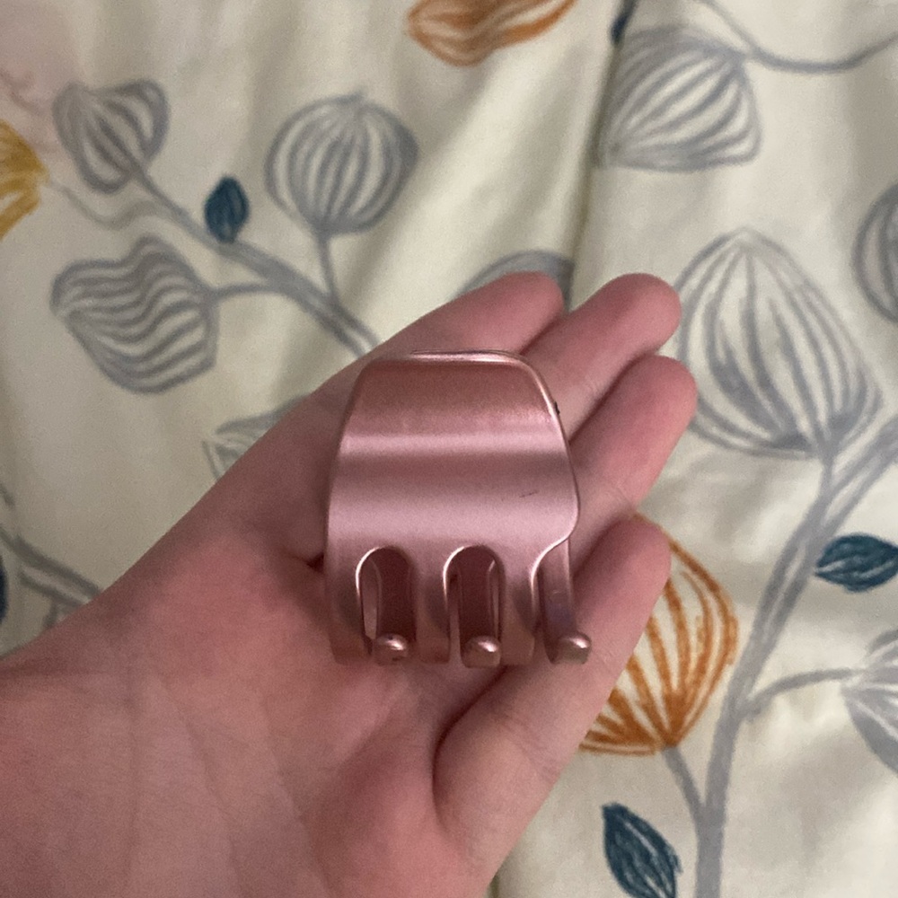 mini claw clip